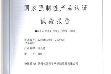 母线 桥架检验报告-wym