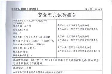 母线 桥架检验报告-wym